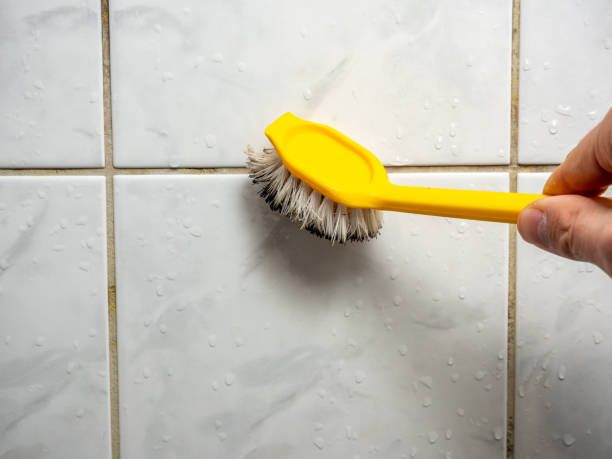 Best Mold Remediation for Schools in Lincoln, NE