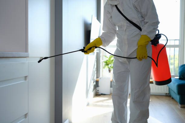 Best DIY Mold Remediation Support Services in Lincoln, NE